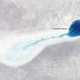 Illustration for article titled Melt Ponds on Ice Sheets Are Chillingly Beautiful
